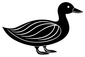 duck isolated on white background