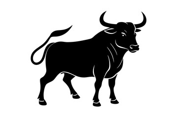 black and white cow
