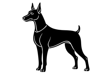 black dog isolated on white