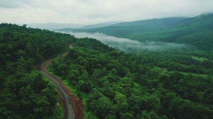 Winding road through lush green mountains, misty valley. Travel, landscape photography.