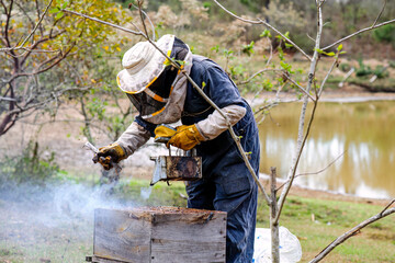 Latin farmer added smoke to hive as a deterrent to bees so they could work freely.