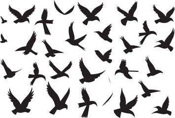 set of birds silhouettes