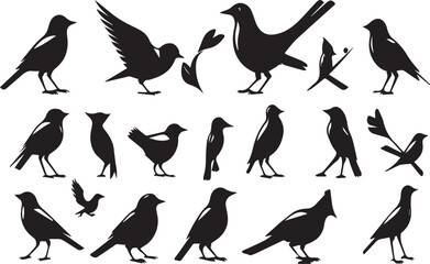 Obraz premium set of birds silhouettes