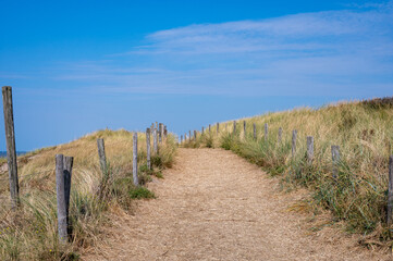 Path through the dunes with fence and beach grass on the North Sea coast
