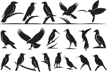 Obraz premium set of birds silhouettes