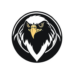 eagle head illustration drawing 