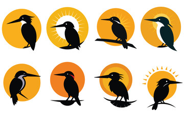 kingfisher silhouette sun background