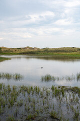A lake in the dune nature reserve