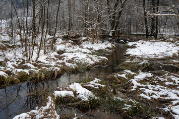 Winter landscape on a small river