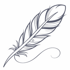 Obraz premium feather and ink