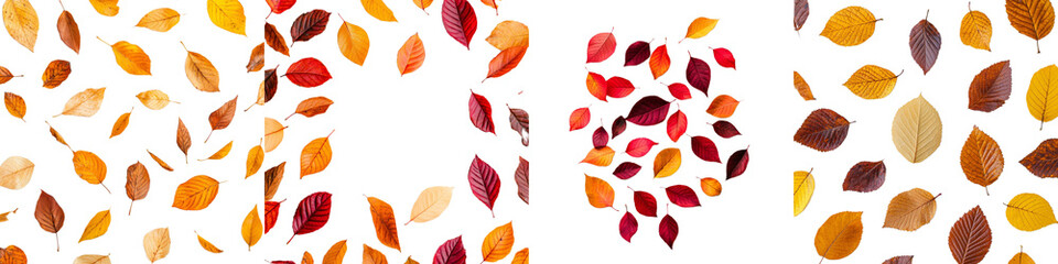 Colorful Autumn Leaves Arranged on a Dark Background for Seasonal Decor and Design
