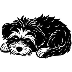 havanese dog black silhouette vector, dog sleeping vector, Simple silhouette Design vector icon with white background.