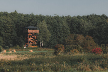 Birdwatching and observation tower hidden in an autumn forest.