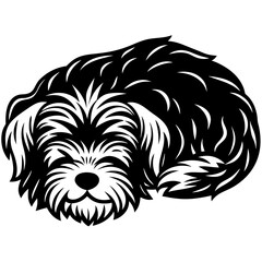 maltese dog black silhouette vector, dog sleeping vector, Simple silhouette Design vector icon with white background.