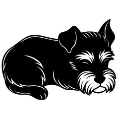 miniature schnauzer dog black silhouette vector, dog sleeping vector, Simple silhouette Design vector icon with white background.