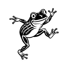 frog on white background