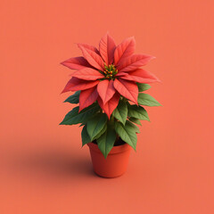 Poinsettia Plant in Pot