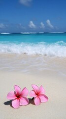Pink Plumeria Blossoms on a Tranquil Beach Paradise