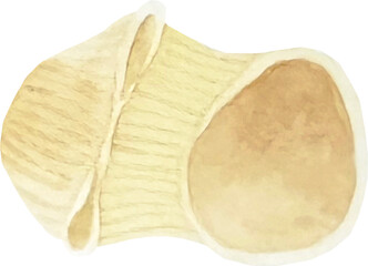 Watercolor italian pasta types. Pipe rigate