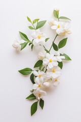 Obraz premium A white flower with green leaves is shown in a close up. The flower is surrounded by leaves and he is in full bloom. Concept of beauty and freshness, as the white flowers