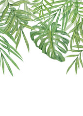 Watercolor tropical leaves vertical frame with copy space for text. Hand painted exotic monstera and palm green branches composition. Summer plants illustration for greeting cards, invitation