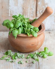 Fresh Basil Herbs in Rustic Clay Mortar and Pestle with Delicate White Flowers