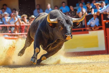 Fototapete close-up of a large black bull charging in a bullfight © MVProductions