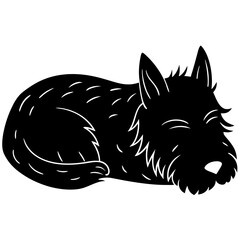  scottish terrier Dog Sleeping black silhouette vector,  silhouette Design vector icon with white background	