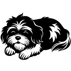 shih tzu Dog Sleeping black silhouette vector,  silhouette Design vector icon with white background	