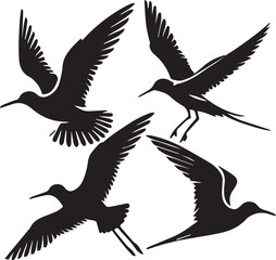 silhouette set of willet flying poses,illet silhouette, flying willet poses, black and white willet illustration