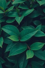 Lush green foliage, vibrant leaves, natural texture. (1)