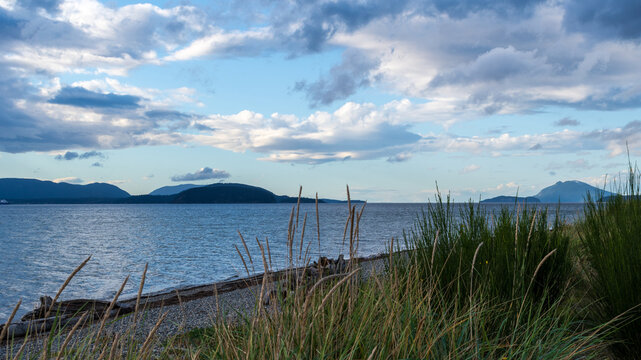 Beautiful evening view of cloudy sky at Padilla State Park, Washington, USA.