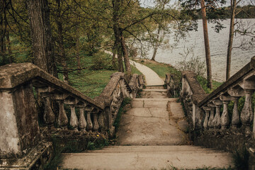 stone stairs in the forest
