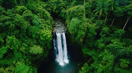Aerial view of a stunning waterfall surrounded by dense rainforest foliage with ample empty space for text or graphics placement.