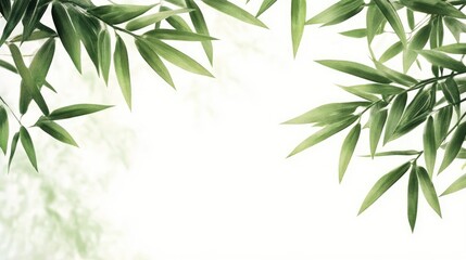 Bamboo leaf border framing a soft green background for nature inspired design and decoration.