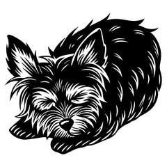 Yorkshire terrier Dog Sleeping black silhouette vector,  silhouette Design vector icon with white background	