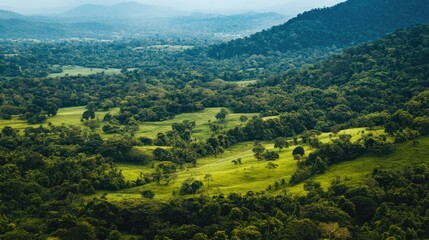Obraz premium Aerial view of lush green countryside with fertile fields and dense trees providing ample space for text placement and natural scenery.