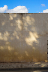 Sombra de árbol en muro de cemento y cielo con nubes