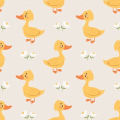 Seamless pattern with cute ducklings and daisies on a white background. Background for baby clothes. Print