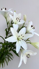 Obraz premium Fresh White Lilies with Dewdrops on Petals. A close-up of fresh white lilies with dewdrops resting on the petals. The delicate flowers stand against a soft, neutral background.