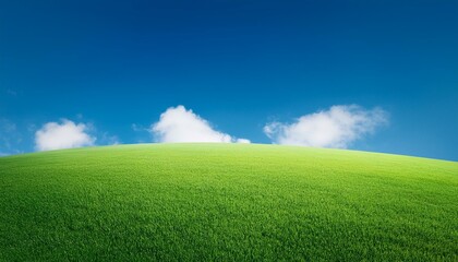 Obraz premium green grass towards a blue sky minimalism