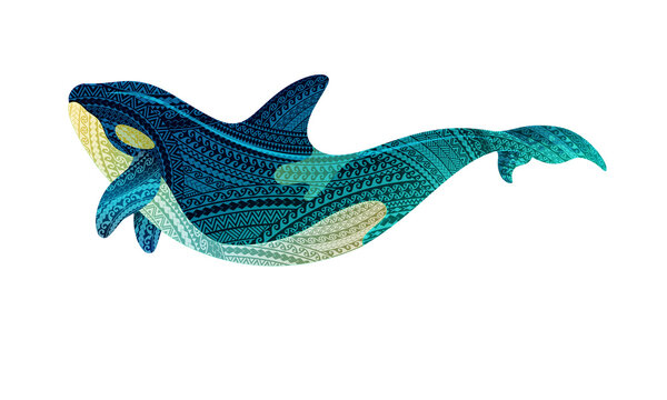 Orca, killer whale illustration, South Pacific Maori pattern design, transparent background