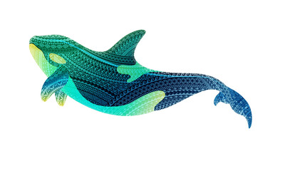 Orca, killer whale illustration, South Pacific Maori pattern design, transparent background