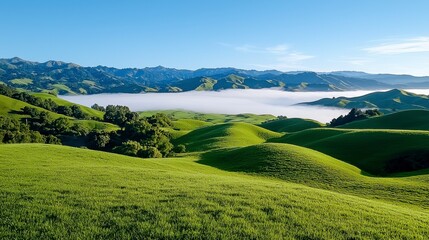 Obraz premium Lush Green Hills with Foggy Valley and Majestic Mountain Range