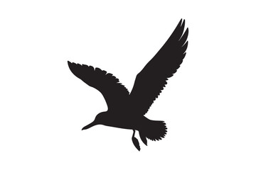 Silhouette of a Flying Bird in Elegant Pose