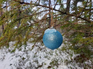 Blue christmas tree ball with snow outdoors in the forest 