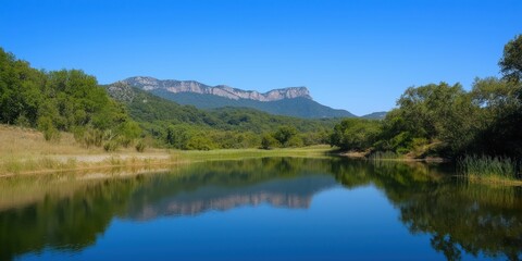 A picturesque river landscape framed by lush greenery under a clear blue sky, conveying a sense of calmness and natural beauty found in serene outdoor environments.