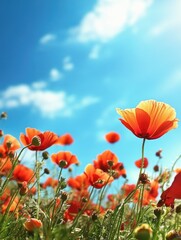 Obraz premium Vivid Flowers Field on a Sunny Day