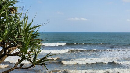 tree on the beach