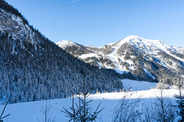 The image depicts a serene winter landscape with snow-covered mountains and dense forests under a clear blue sky. The scene is tranquil and picturesque, showcasing the beauty of nature in winter.